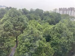 Blk 536 Panshan Grove (Bukit Panjang), HDB 5 Rooms #571125001